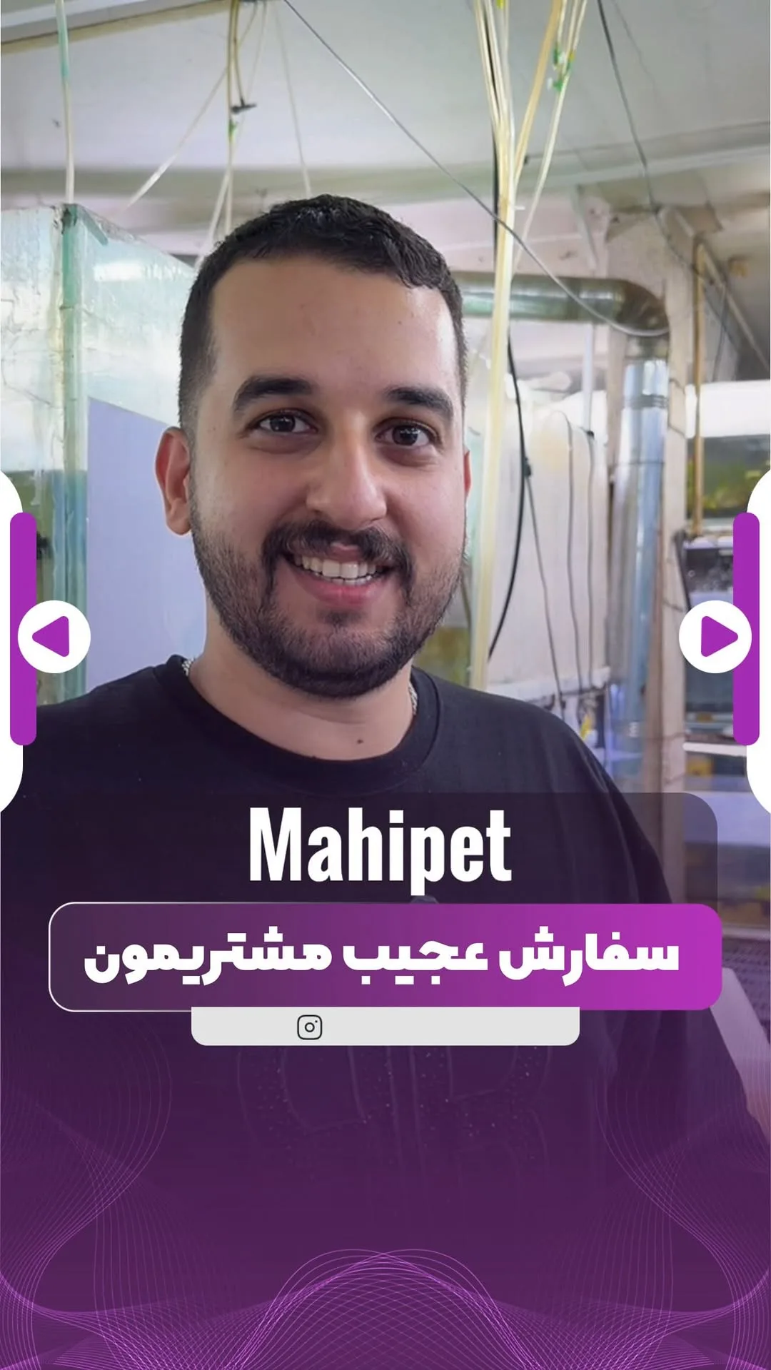 ماهی چانا مارلیوس