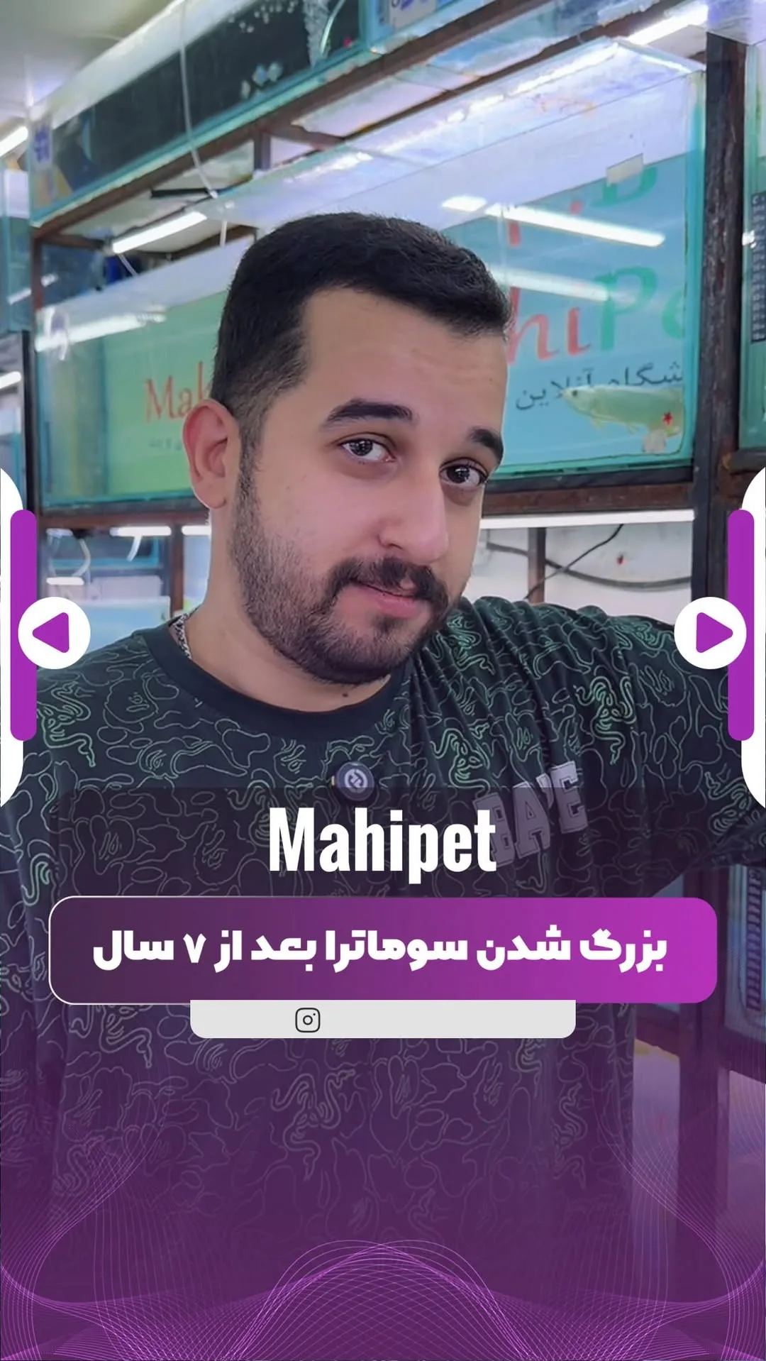 ماهی تایگر سوماترا