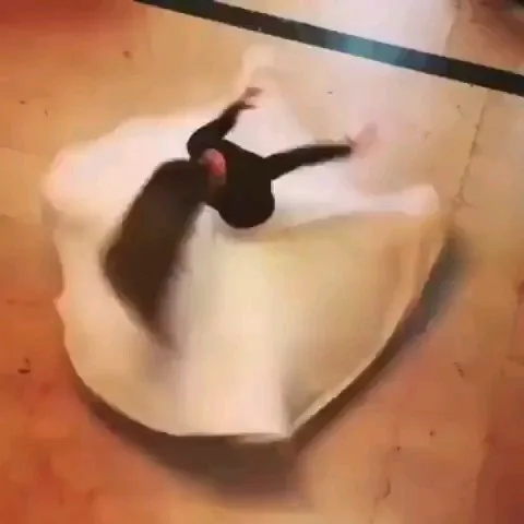 تابلو طلاکوب رقص سماع ۶۱×۵۵