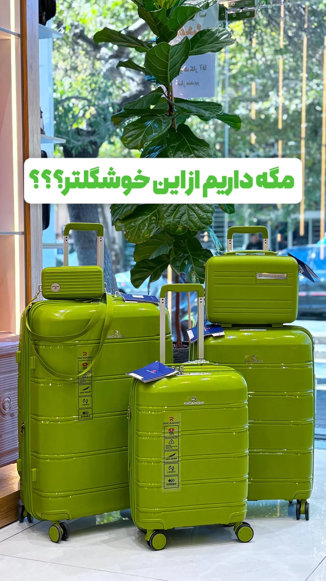 چمدان پنج‌تکه ریکاردو