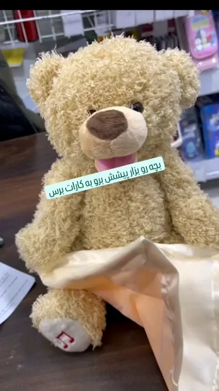 عروسک خرس دالی
