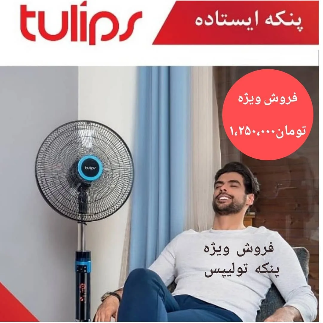 پنکه ایستاده ۴۰۴ تولیپس، رنگ مشکی و آبی، جنس پلاستیک و فلز