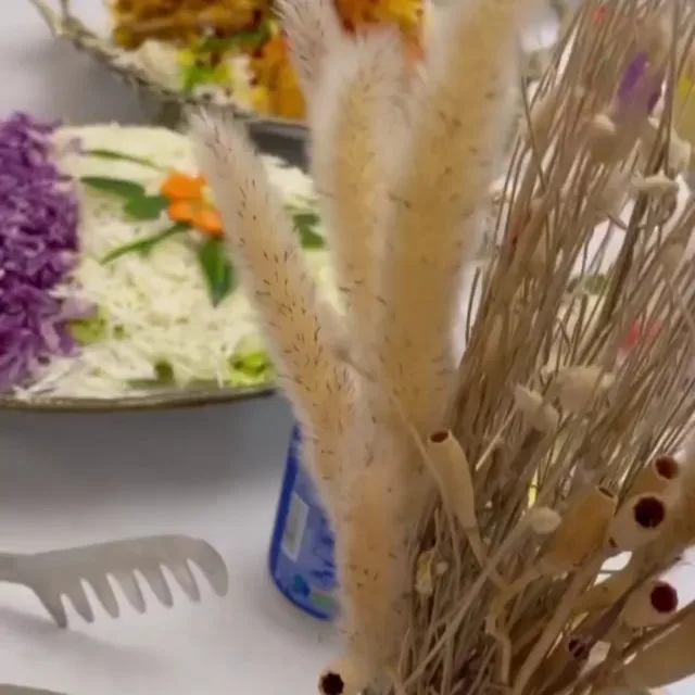 ظروف لمونژ آنتیک پانیذ (دیس بیضی، دیس هگزان، دیس گرد و کاسه ۳۲)