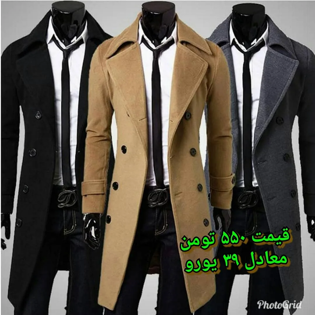 پالتو