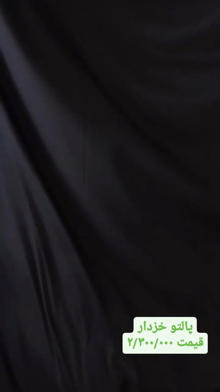 پالتو خزدار