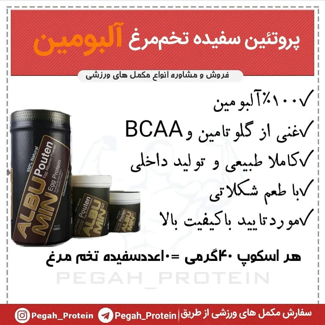 پودر آلبومین سفیده تخم‌مرغ پگاه