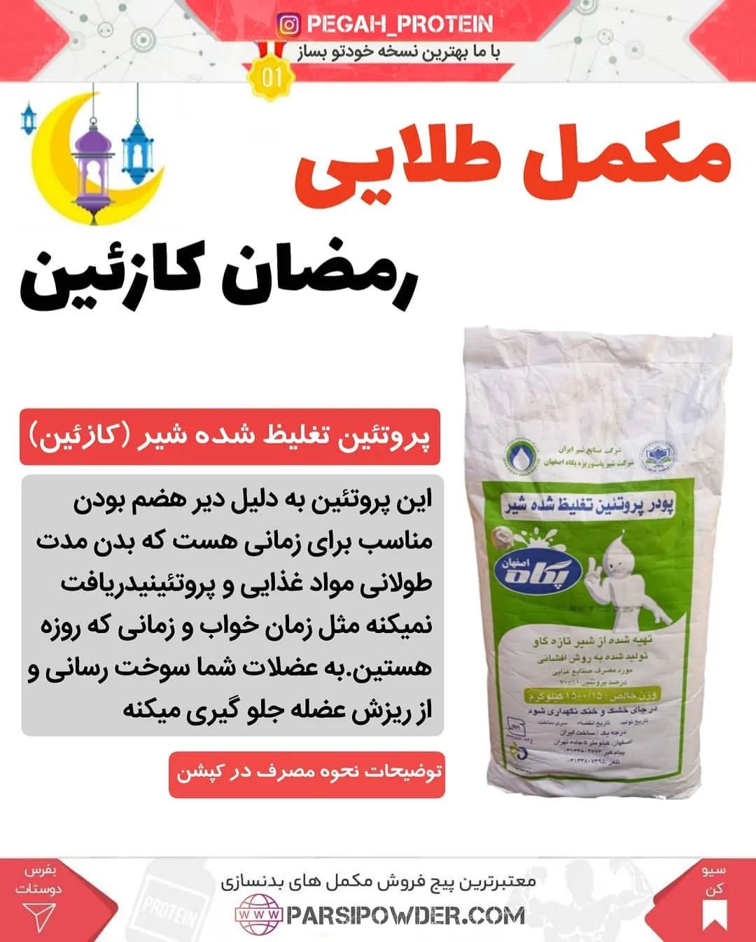 پودر پروتئین کازئین پگاه، رنگ سفید و سبز، جنس پلاستیک، کیسه