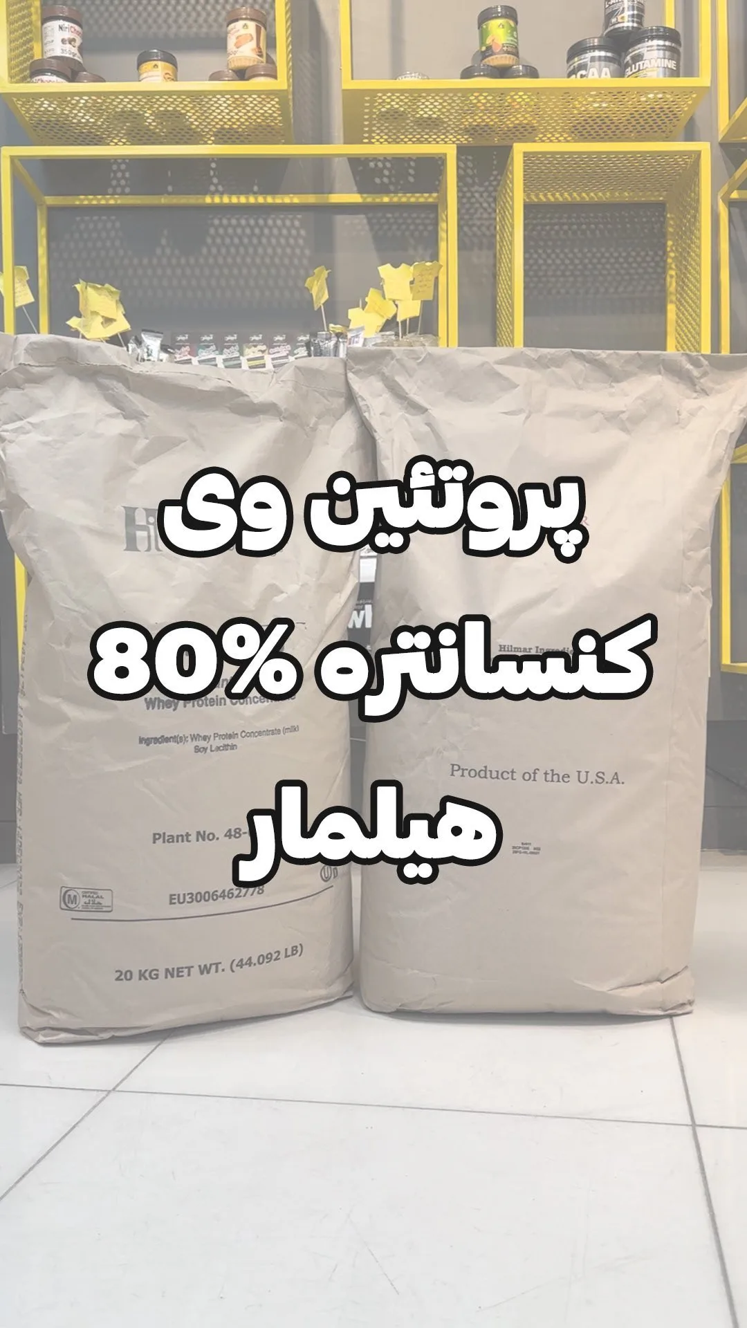 پروتئین وی کنسانتره ۸۰ درصد هیلمار