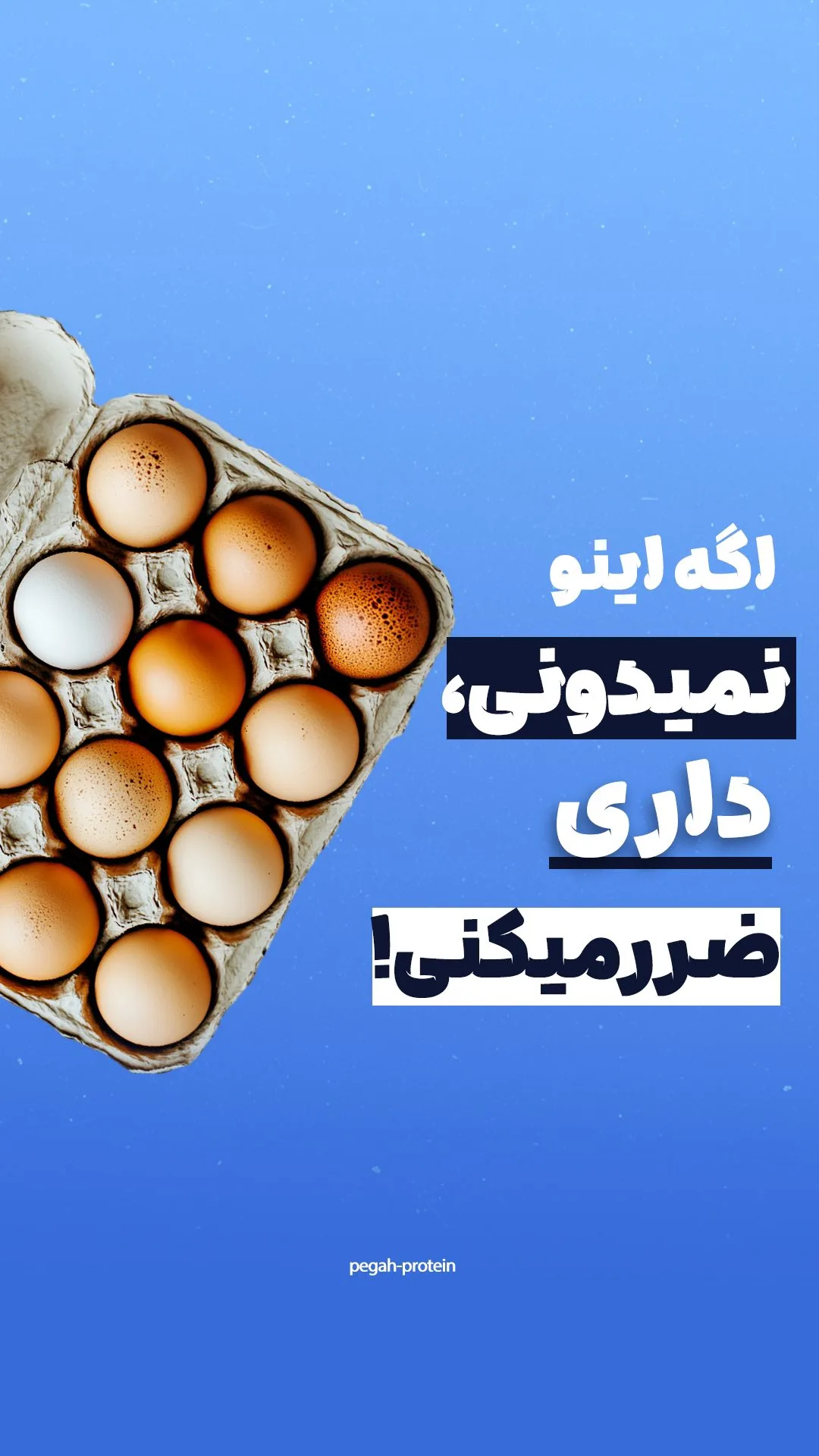 پودر سفیده تخممرغ آلبومین