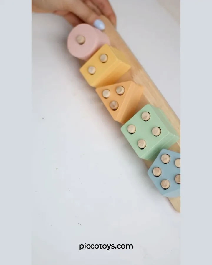 اسباببازی چوبی جاگذاری