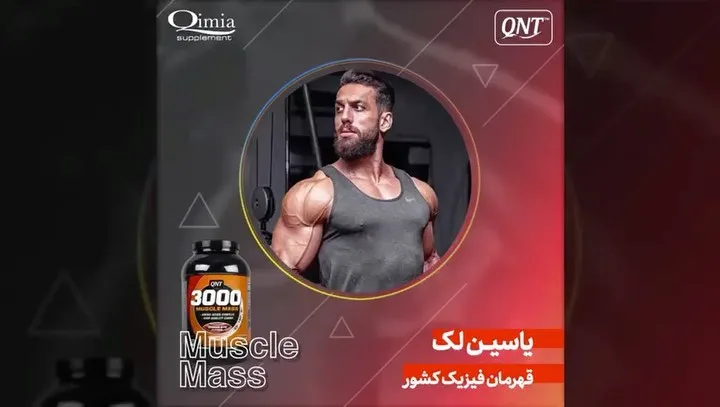 ماسل مس پروتئین کربوهیدرات QNT