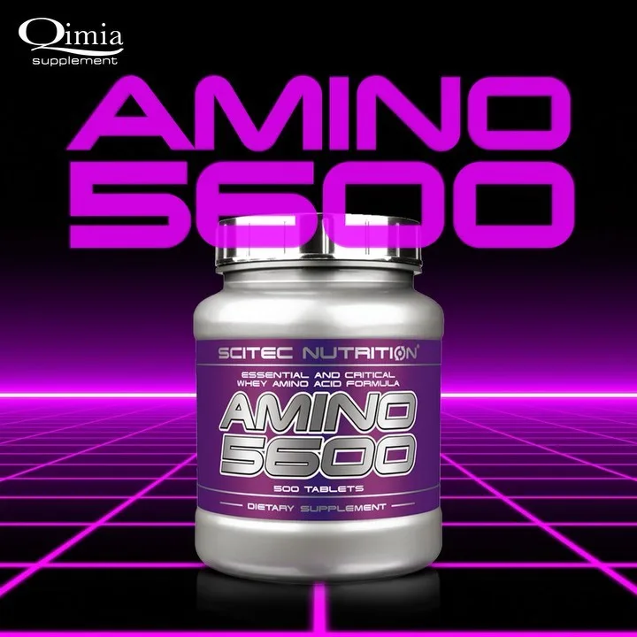 آمینو ۵۶۰۰ سایتک ۵۰۰ عددی Scitec Nutrition