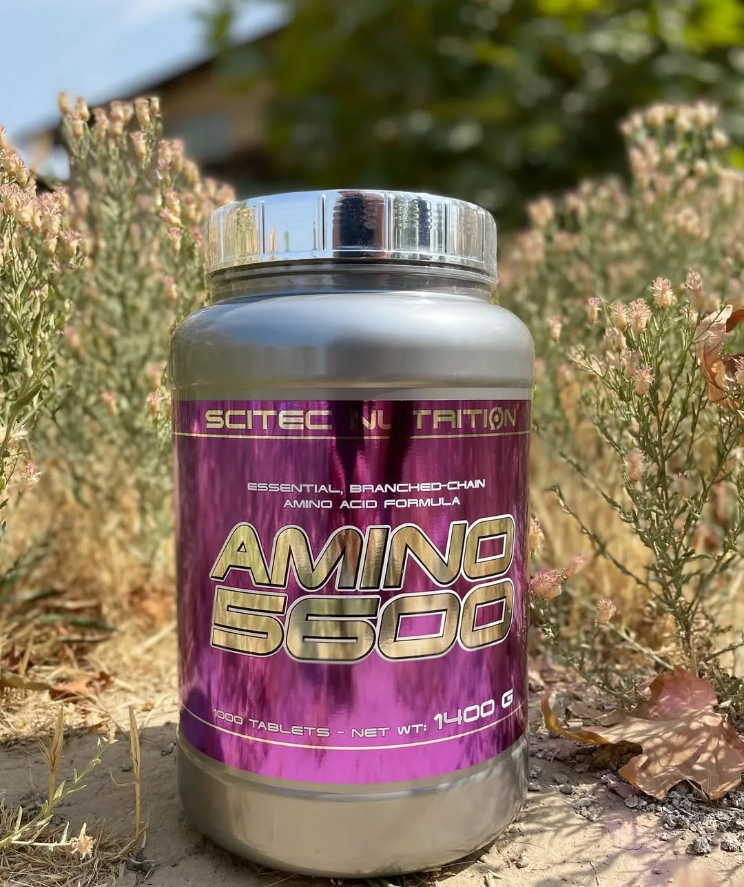 آمینو ۵۶۰۰ سایتک ۱۰۰۰ عددی Scitec Nutrition