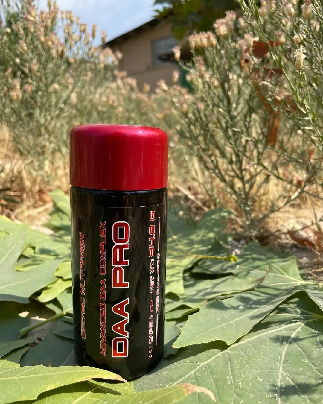 مکمل DAA PRO سایتک Scitec Nutrition، رنگ سیاه و قرمز، جنس پلاستیک، بطری استوانه‌ای