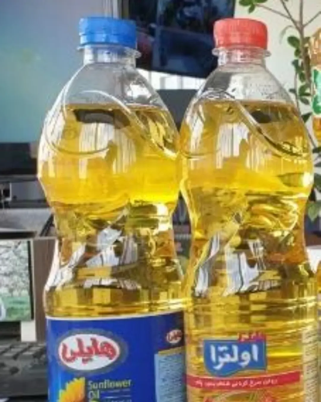 روغن سرخ کردنی و آفتابگردان ۸۱۰ گرمی هایلی