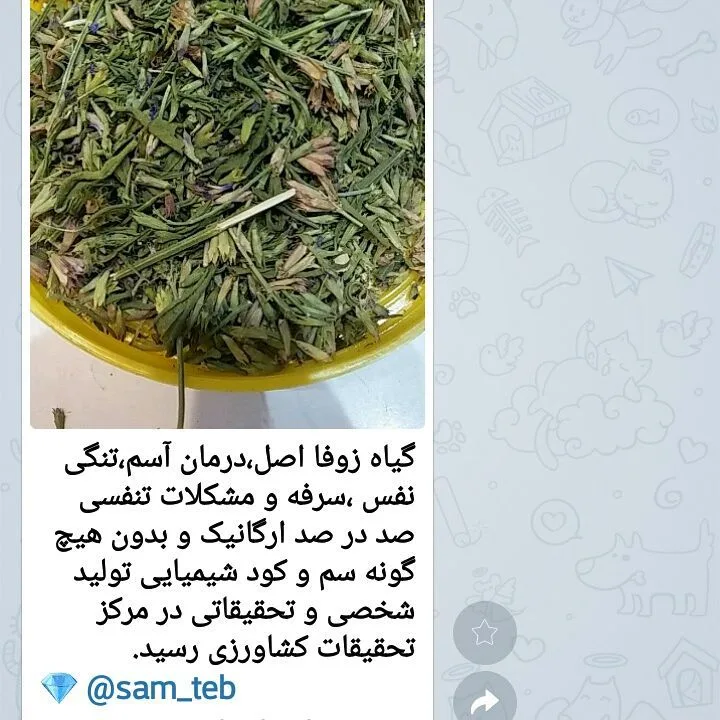 گیاه زوفا، رنگ سبز و قهوه‌ای، جنس گیاهی، گیاه خشک
