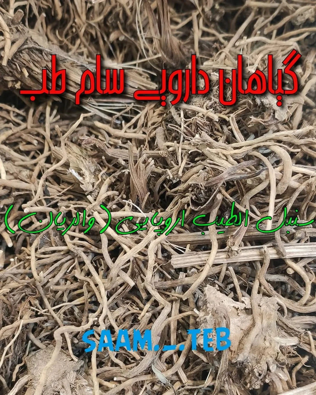 سنبل الطیب اروپایی والریان
