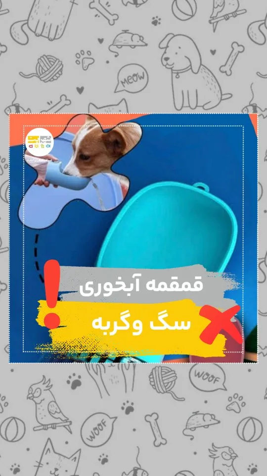 قمقمه آبخوری سگ و گربه برای فضای باز