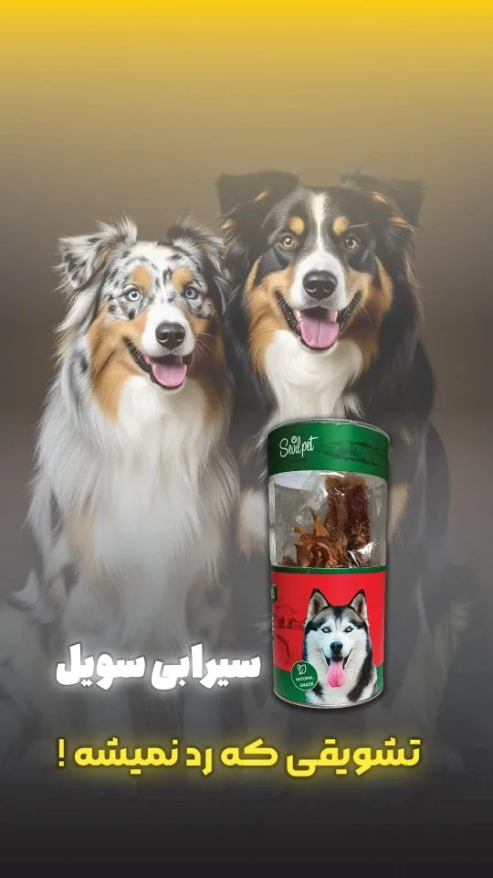 تشویقی سگ سویل پت، رنگ سبز و قرمز، جنس پلاستیک، قوطی استوانه‌ای