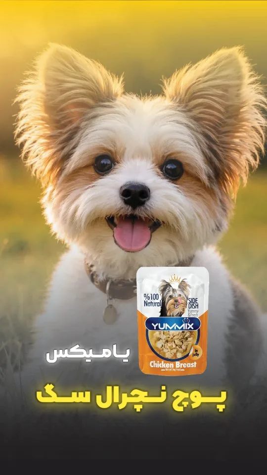 پوچ نچرال سگ سینه مرغ یامیکس، رنگ نارنجی و سفید