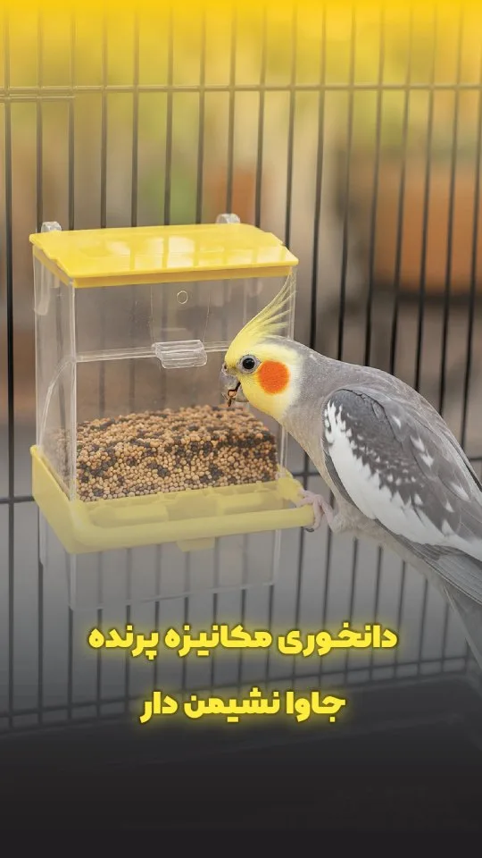 ظرف غذای مکانیزه پرنده نشیمن‌دار جاوا، رنگ زرد و شفاف، جنس پلاستیک، ظرف مکعبی