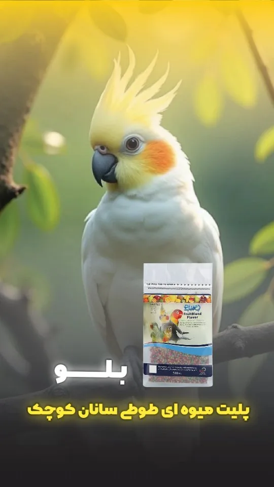 پلت میوه ای طوطی بلو، رنگ سفید و آبی، پاکت زیپ‌کیپ