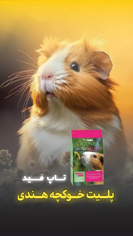 غذای خوکچه هندی تاپ فید، رنگ سبز و صورتی، پاکت ایستاده