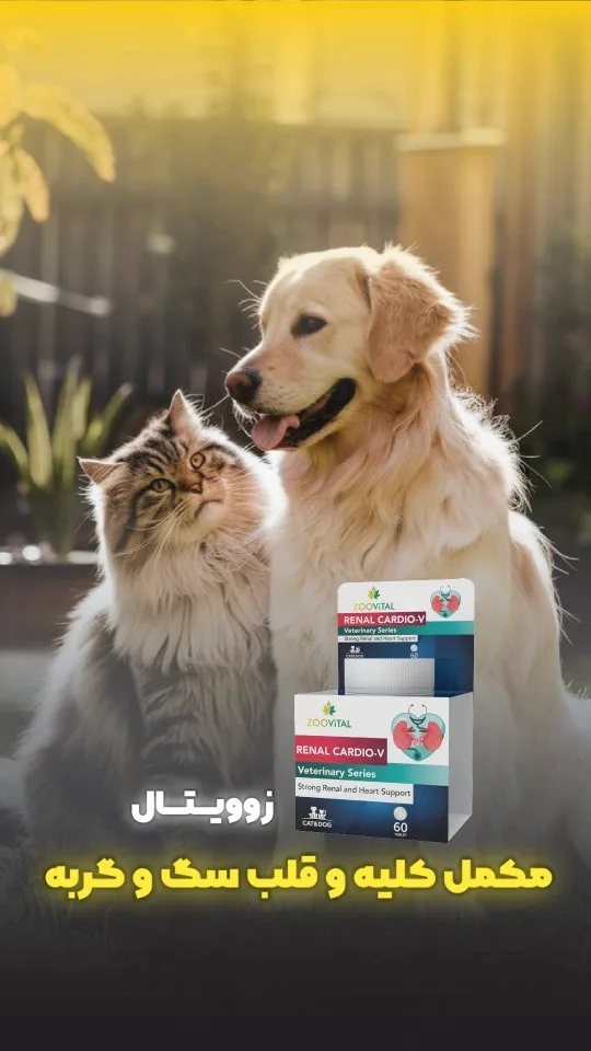 مکمل کلیه و قلب سگ و گربه Renal Cardio-V زوویتال، رنگ سفید، سبز و قرمز، جنس مقوا، جعبه مکعبی