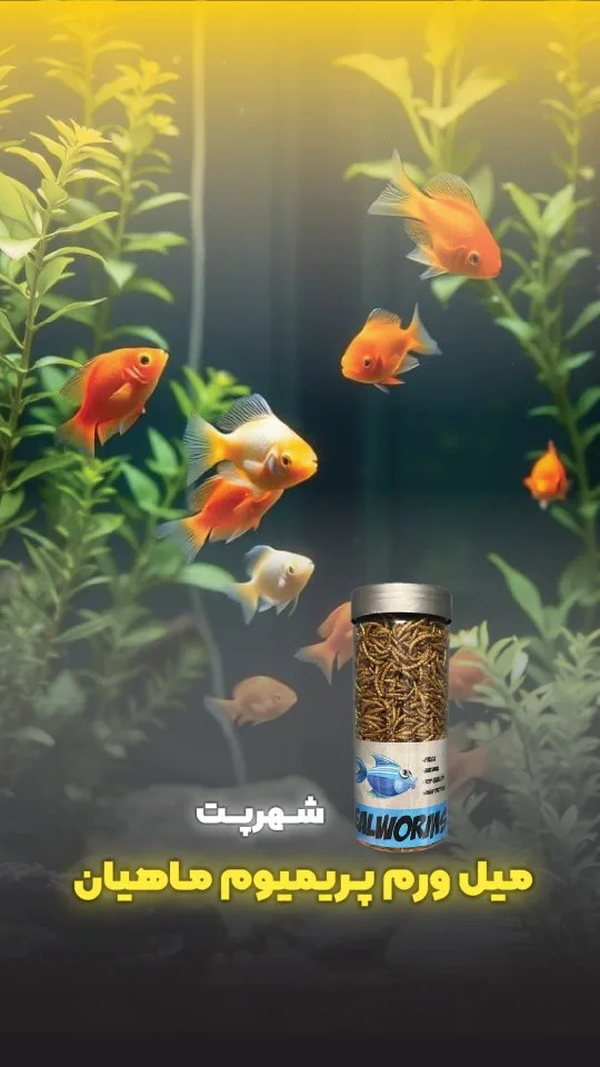 میلورم پریمیوم غذای ماهی شهرپت، رنگ قهوه‌ای و شفاف، جنس شیشه، استوانه‌ای