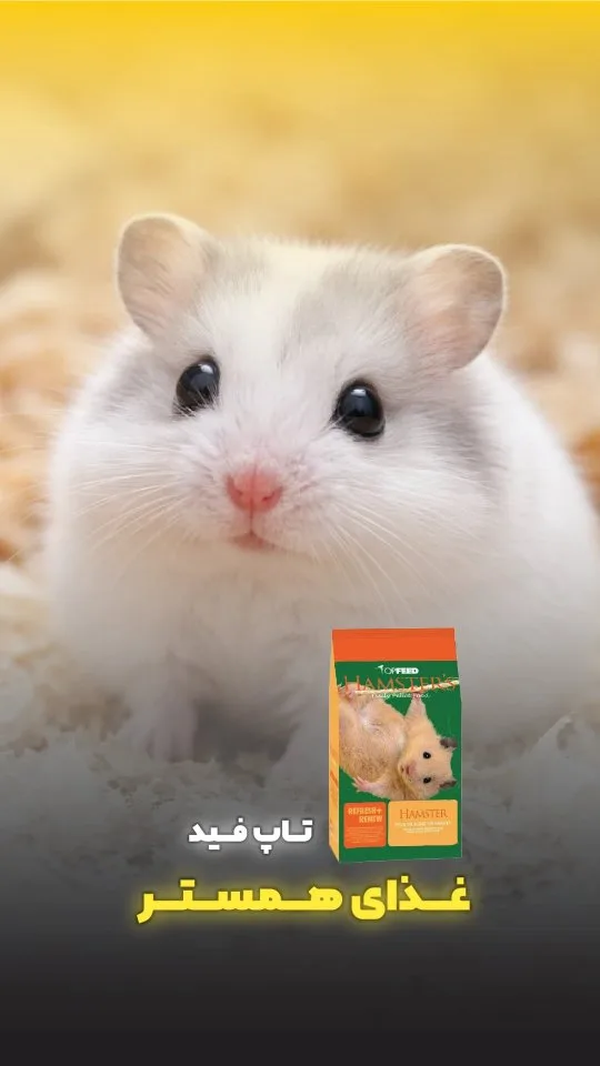 غذای همستر، رنگ نارنجی و سبز، جنس مقوا، بسته‌بندی پاکتی