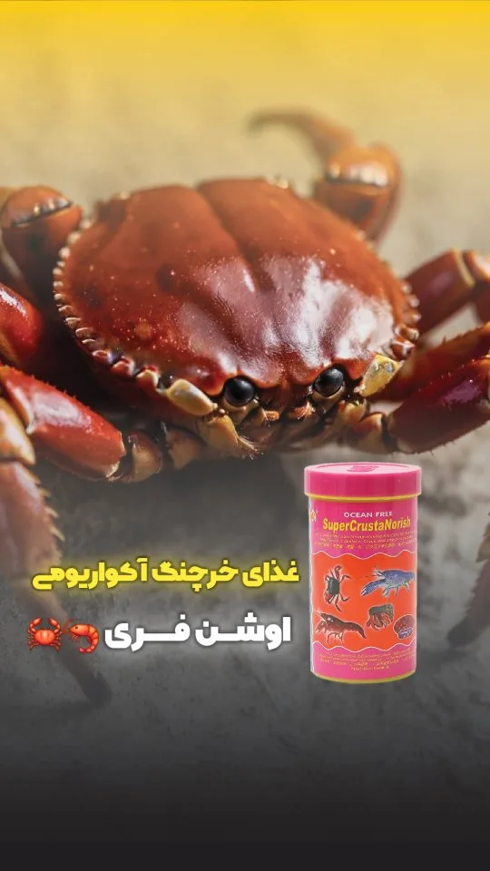غذای خرچنگ آکواریومی اوشن فری