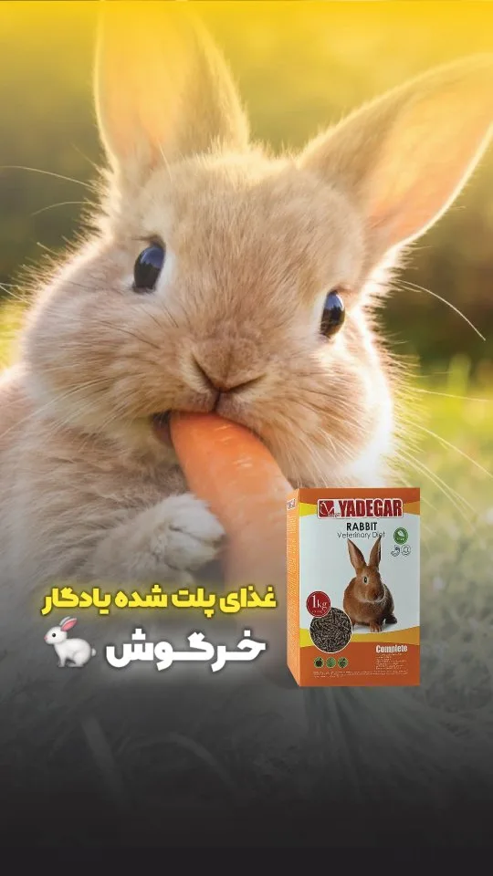 غذای خرگوش پلت ۱ کیلوگرمی یادگار