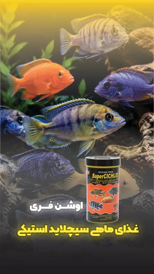 غذای ماهی سیکلید استیکس اوشن فری، رنگ مشکی و زرد، جنس پلاستیک، قوطی استوانه‌ای