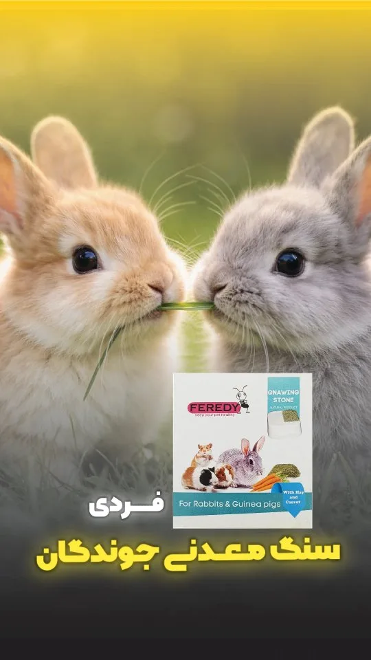 سنگ معدنی جوندگان با قلاب، رنگ سفید، بلوک سنگ جویدنی