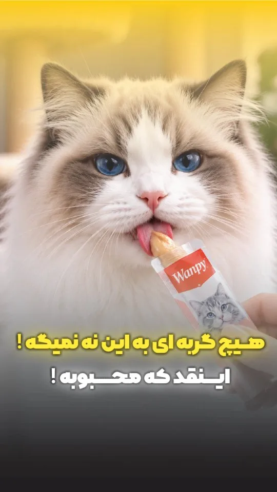 تشویقی گربه ونپی، رنگ سفید و قرمز، جنس پلاستیک، ساشه