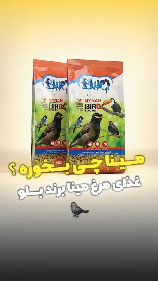 غذای مرغ مینا و پرندگان حشره خوار بلو