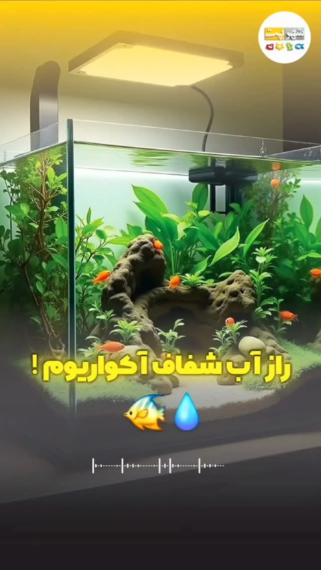 فیلتر آکواریوم ایهایم، رنگ شفاف، جنس شیشه، مستطیلی