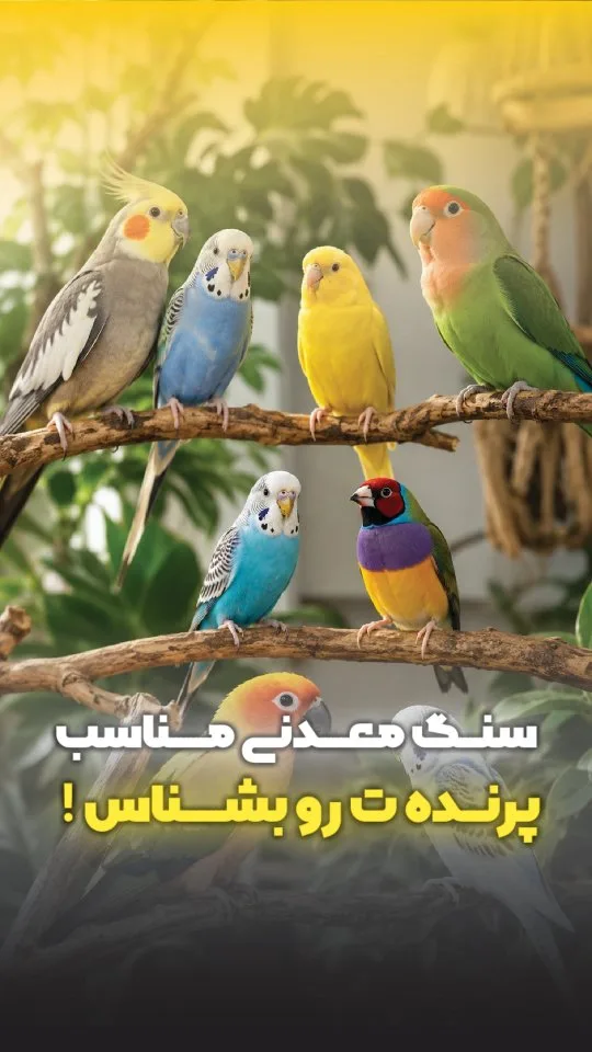 سنگ معدنی مکمل پرنده
