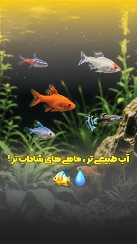 محلول بلک‌واتر پروتکت نیچر آکواریوم