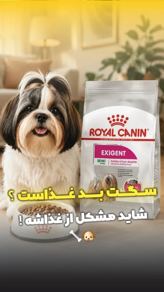 غذای خشک سگ بدغذا نژاد کوچک رویال کنین