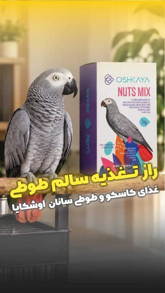 غذای کاسکو و طوطی های بزرگ Nuts Mix اوشکایا