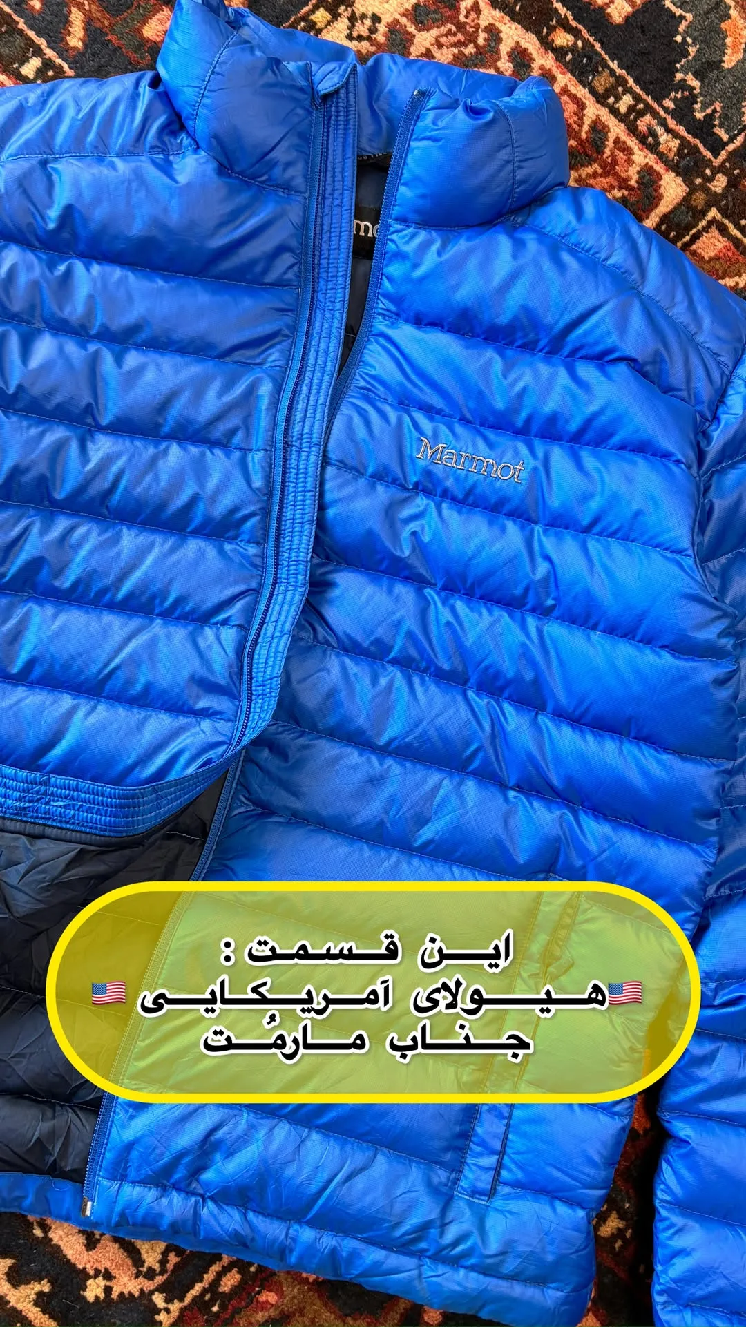 کاپشن پر لایت مارموت