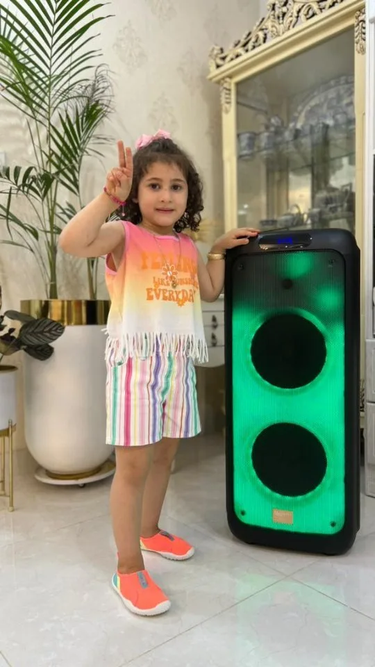 اسپیکر CN 1003، رنگ مشکی و سبز، جنس پلاستیک، اسپیکر ایستادهی بزرگ
