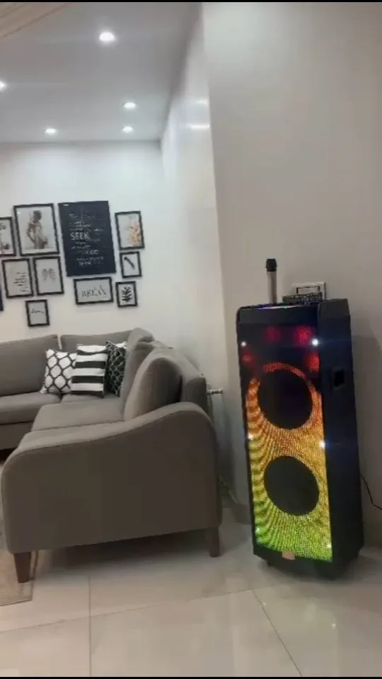 اسپیکر شارژی CN 1204، رنگ مشکی، جنس پلاستیک، ایستاده بزرگ نوردار