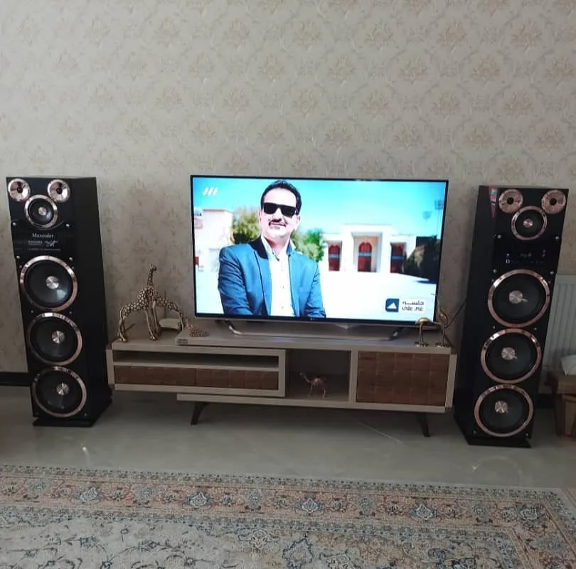 اسپیکر بدنه چوب مکسیدر، رنگ مشکی و قهوهای، جنس پلاستیک، ایستاده بزرگ چند بلندگو