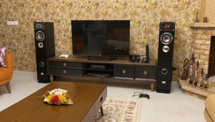 اسپیکر بدنه MDF با رادیو، رنگ مشکی و نقرهای، ایستاده، دو ووفر