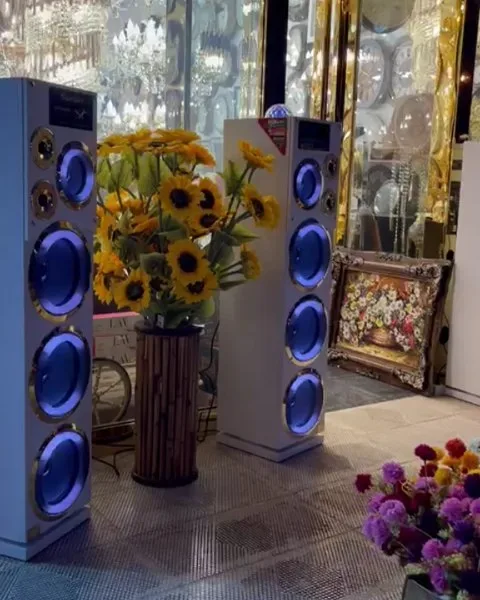 اسپیکر RL 119 سوپر باس مکسیدر