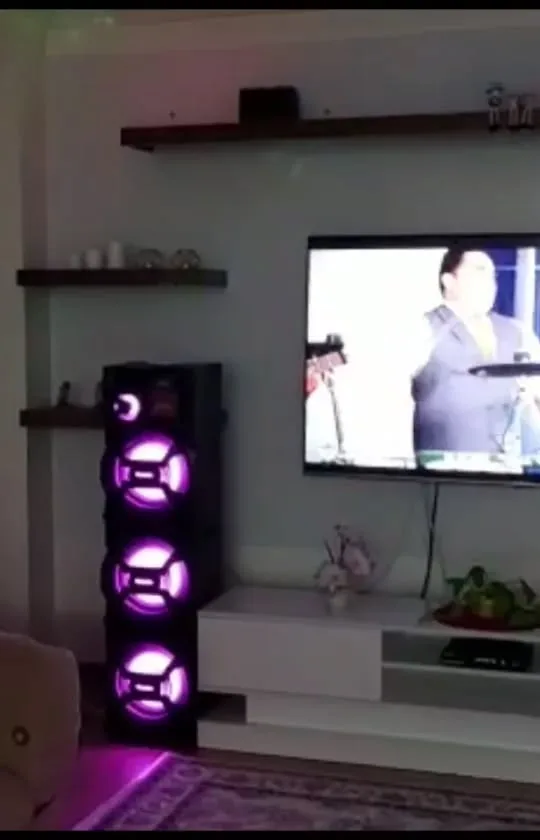 اسپیکر چراغدار، رنگ مشکی و بنفش، جنس پلاستیک، ایستاده بزرگ