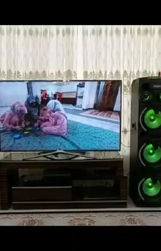 اسپیکر چراغدار مکسیدر، رنگ مشکی و سبز، جنس پلاستیک، ایستاده بزرگ