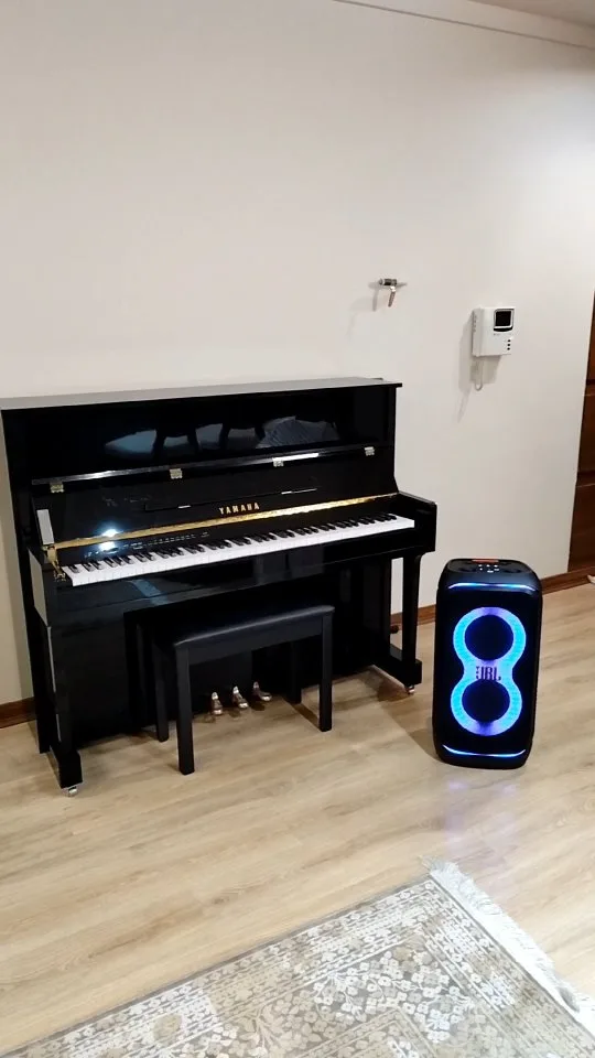 اسپیکر پارتیباکس JBL، رنگ مشکی و آبی، جنس پلاستیک، استوانهای